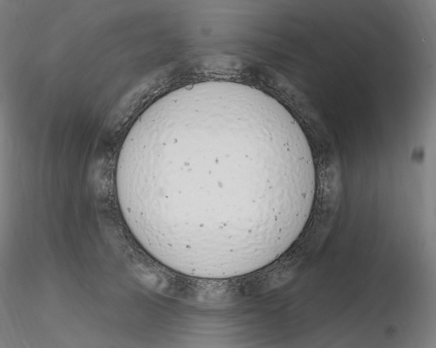 X0000115650705200912221331