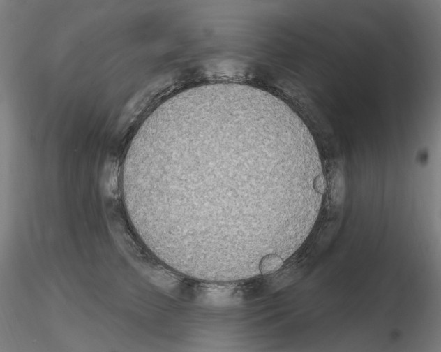 X0000115650709200912221331