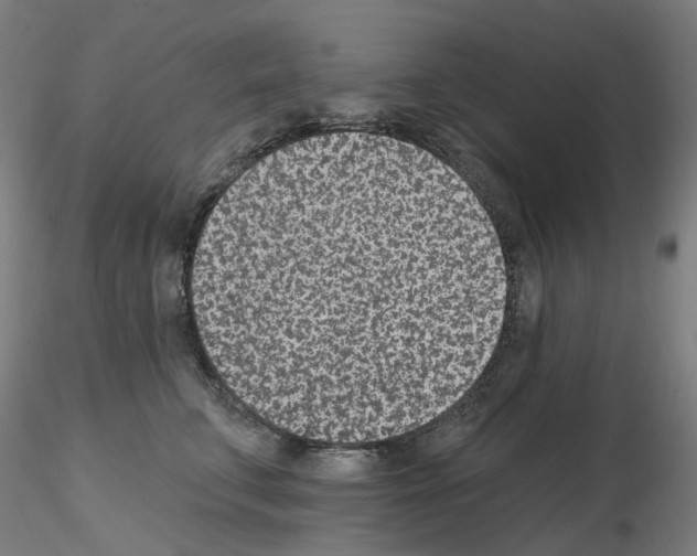 X0000115650711200912221331