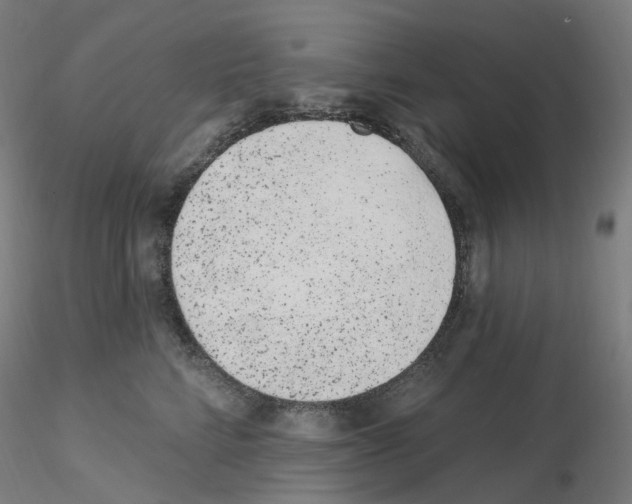 X0000115650712200912221331