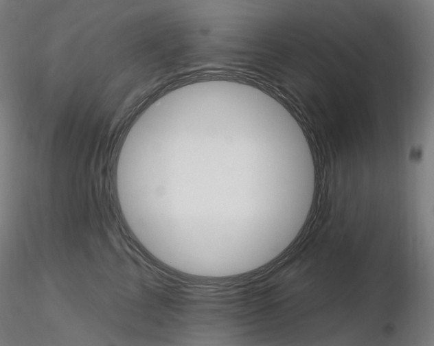 X0000115650713200912221331
