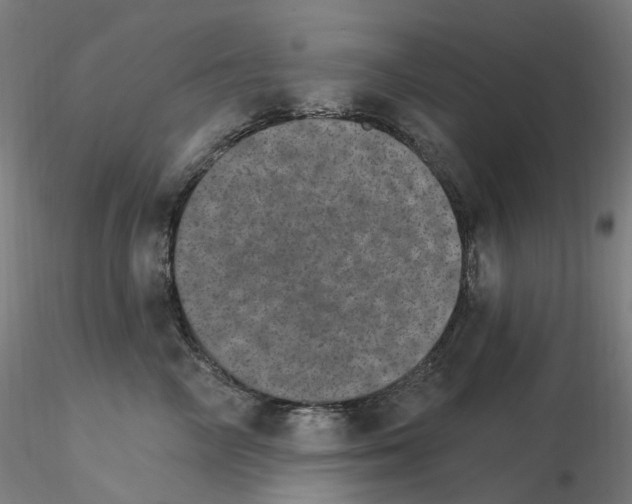 X0000115650714200912221331