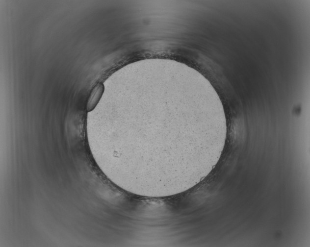 X0000115650715200912221331