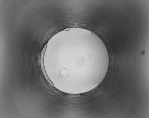 X0000115650716200912221331