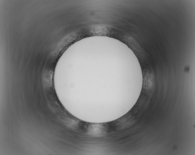 X0000115650717200912221331