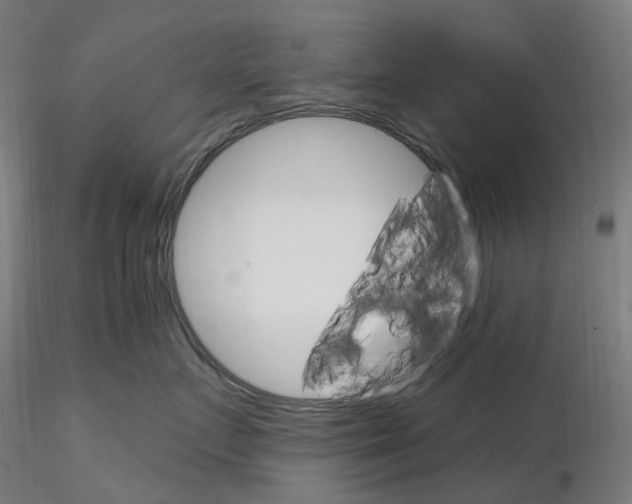 X0000115650719200912221331