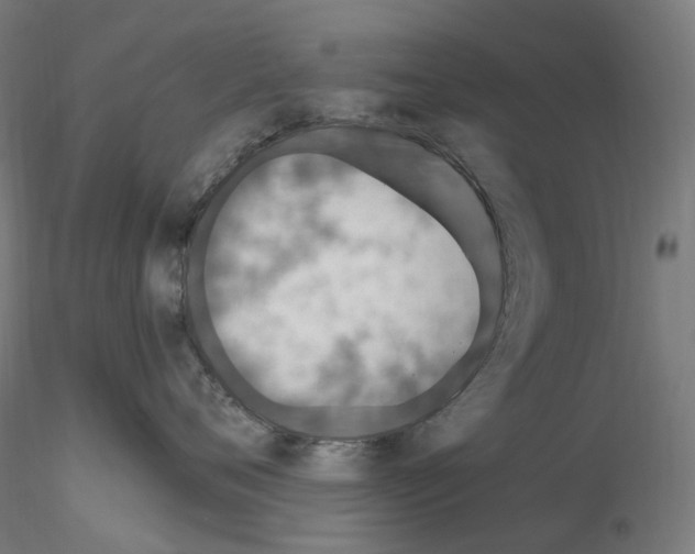 X0000115650720200912221331