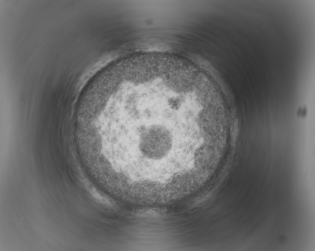 X0000115650721200912221330
