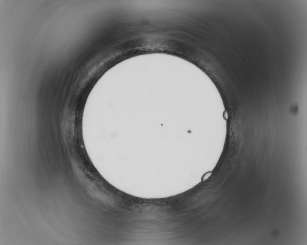 X0000115650722200912221330