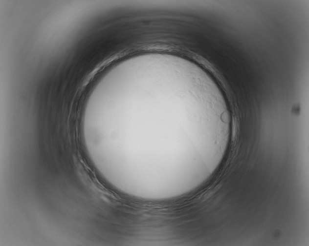 X0000115650723200912221330