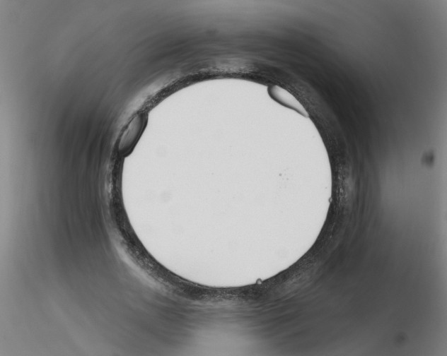 X0000115650726200912221330
