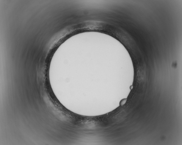 X0000115650730200912221330