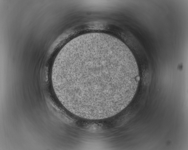 X0000115650731200912221330
