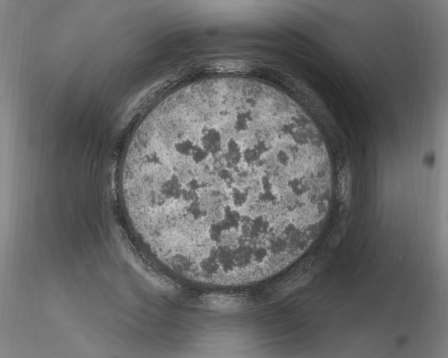X0000115650733200912221330