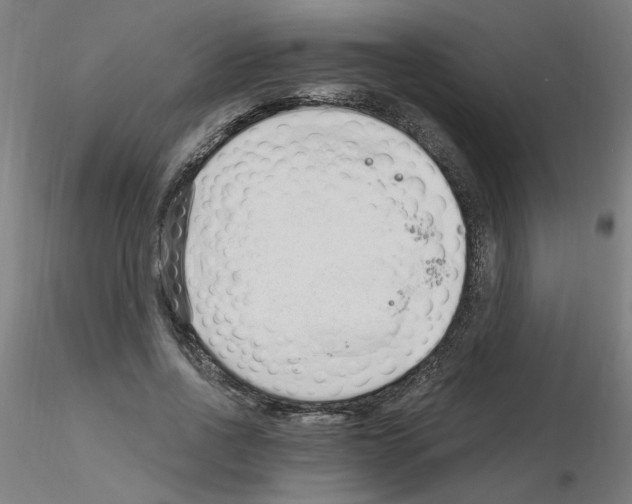 X0000115650734200912221330
