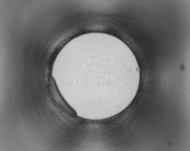 X0000115650735200912221330