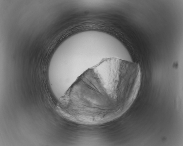 X0000115650737200912221330