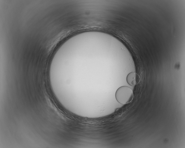 X0000115650738200912221330