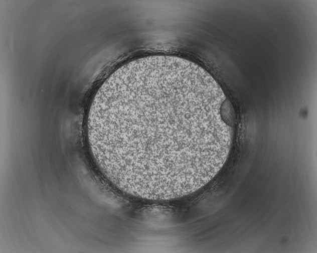 X0000115650739200912221330