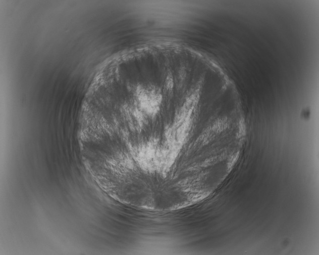 X0000115650741200912221330