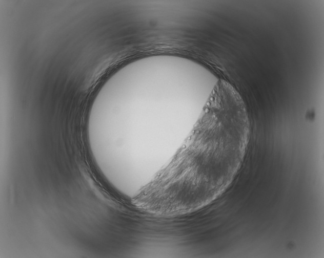 X0000115650742200912221330