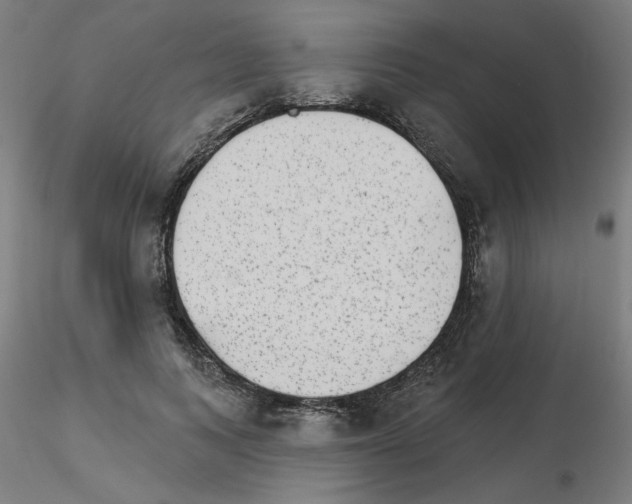 X0000115650743200912221330