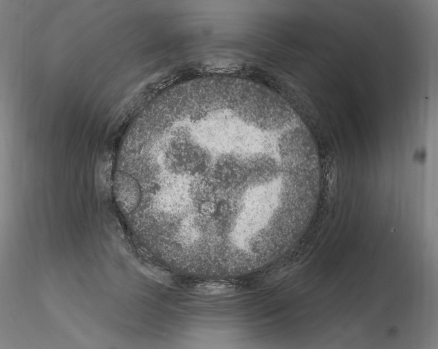 X0000115650745200912221331