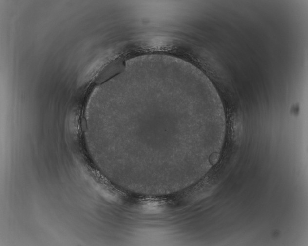 X0000115650746200912221331