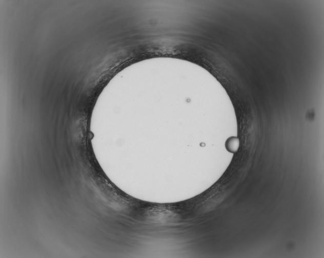 X0000115650747200912221331