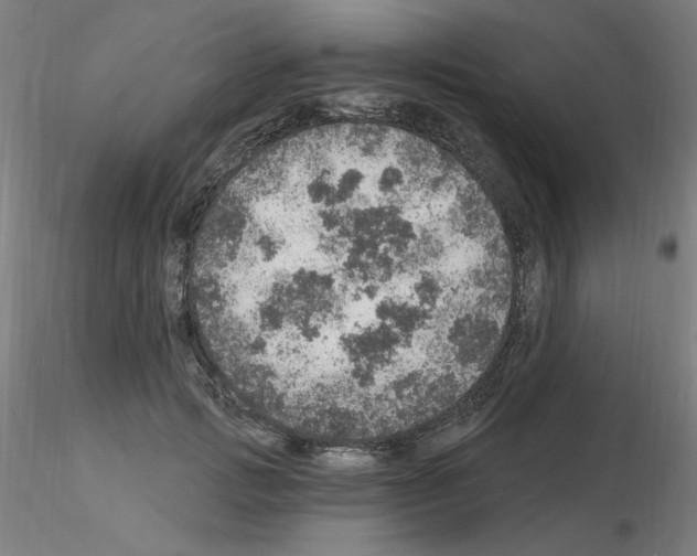 X0000115650749200912221331
