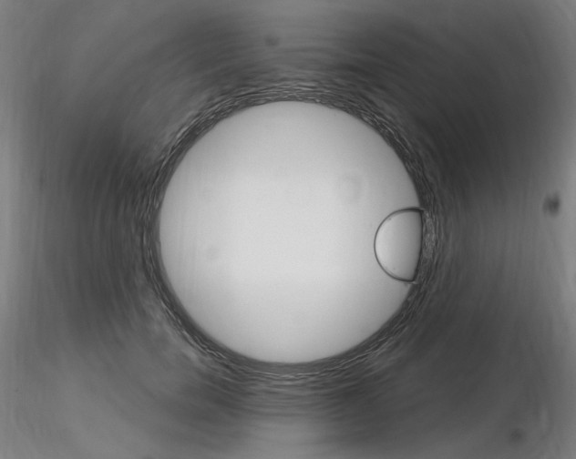X0000115650750200912221331