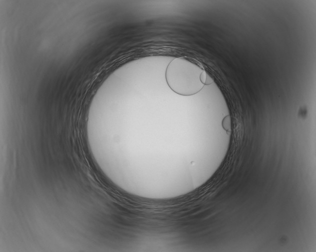 X0000115650751200912221331