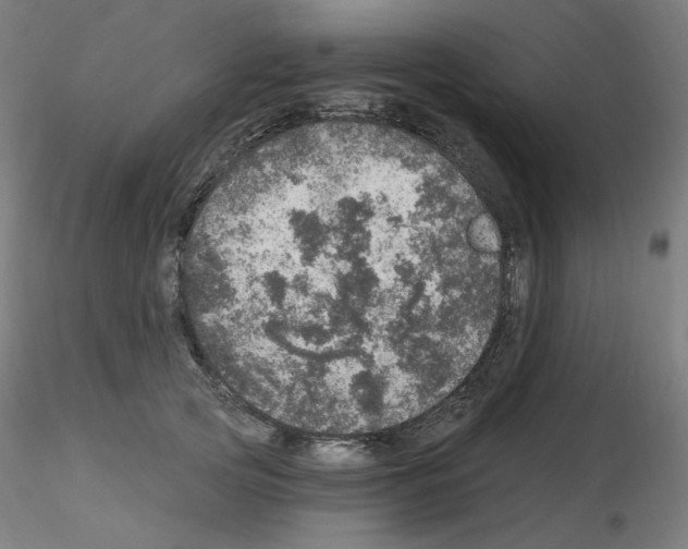 X0000115650753200912221331