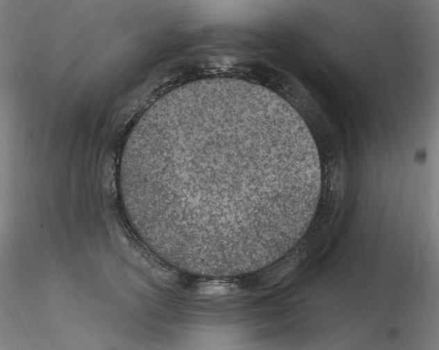 X0000115650754200912221331