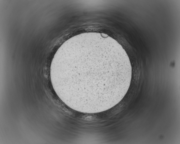 X0000115650755200912221331