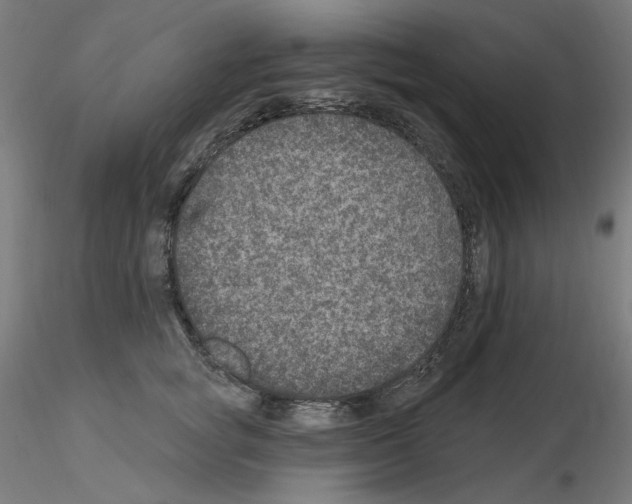 X0000115650757200912221331