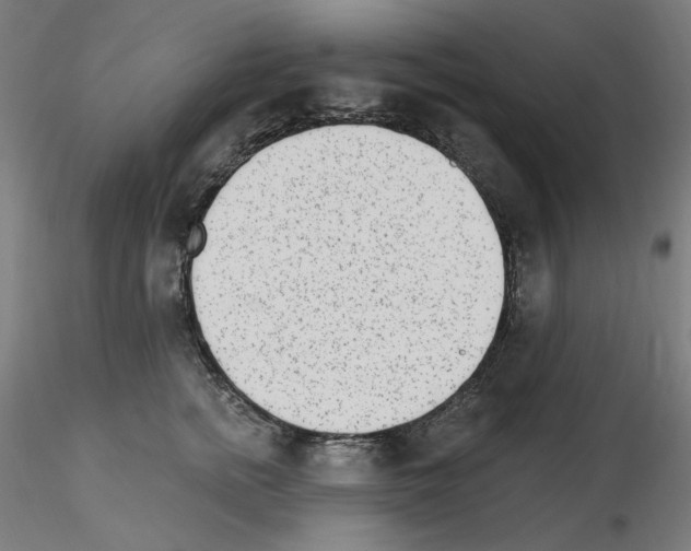 X0000115650758200912221331