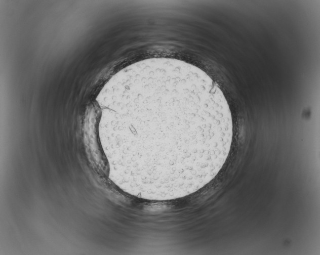 X0000115650759200912221331