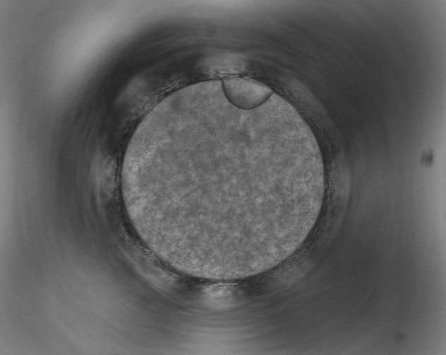 X0000115650761200912221331