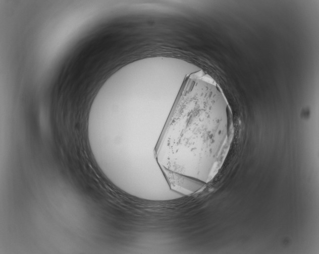X0000115650762200912221331