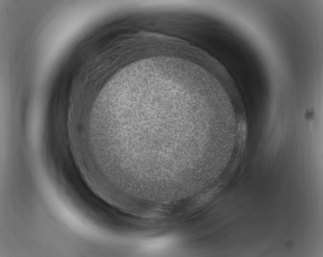 X0000115650765200912221331