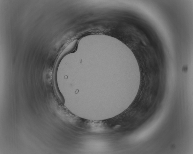 X0000115650767200912221331