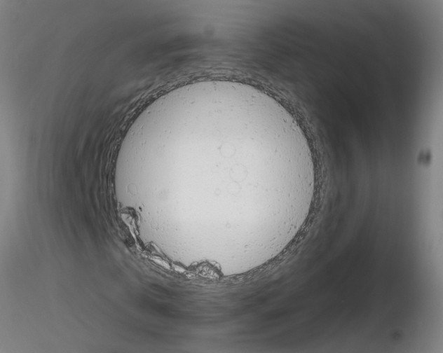 X0000115650769200912221330