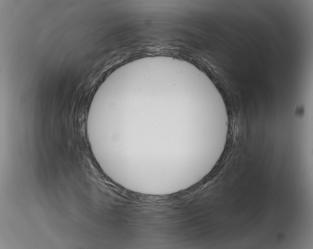 X0000115650770200912221330