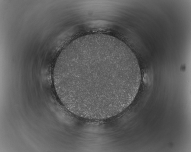 X0000115650771200912221330