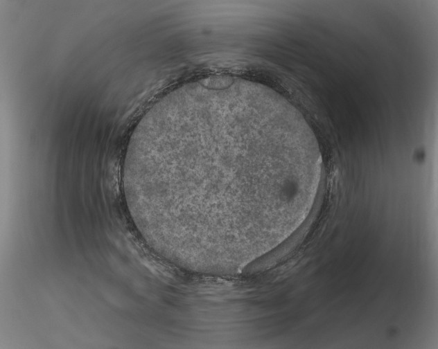 X0000115650772200912221330