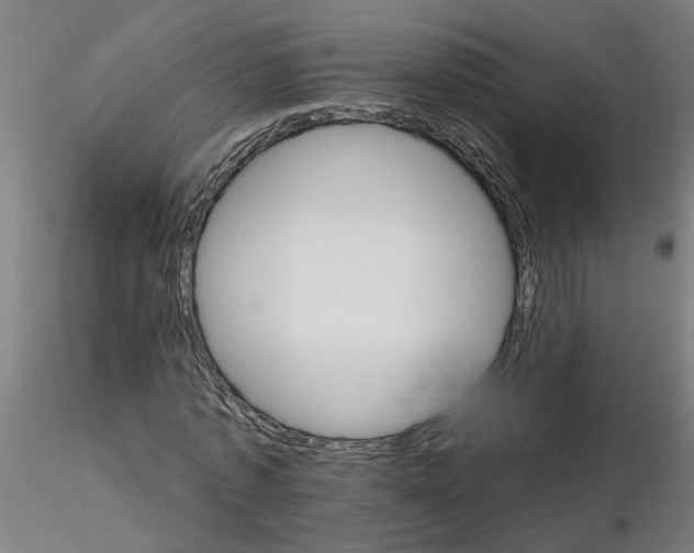 X0000115650773200912221330