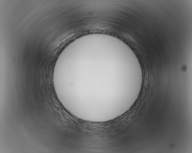 X0000115650774200912221330