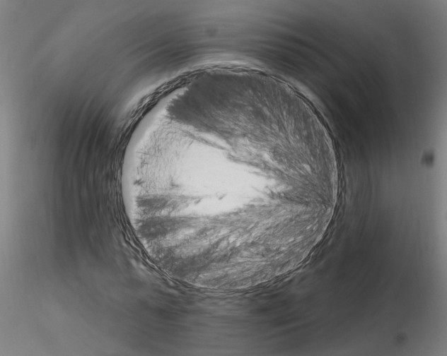 X0000115650775200912221330