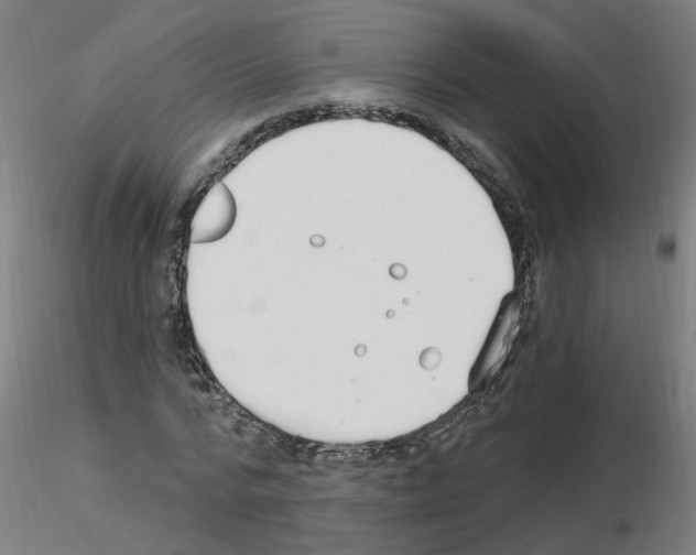 X0000115650776200912221330